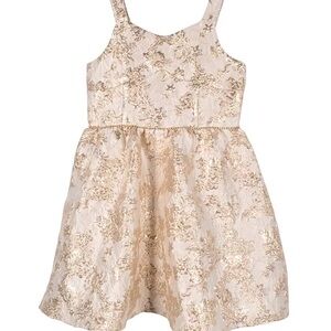 Pink & Violet Big Girls Metallic Brocade Dress